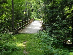 Bridge over Rattle River